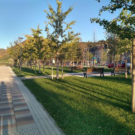 Apartman Sani Donji Milanovac Exterior foto