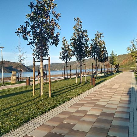 Apartman Sani Donji Milanovac Exterior foto